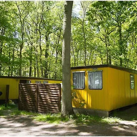 Bungalow Wald & Sand Direkt Am Strand Dranske Zewnętrze zdjęcie