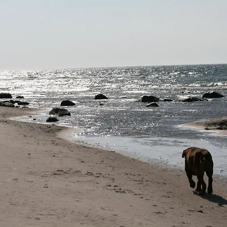 Bungalow Wald & Sand Direkt Am Strand Dranske Zewnętrze zdjęcie